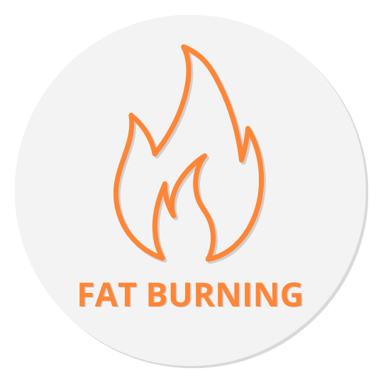 Fat Burning