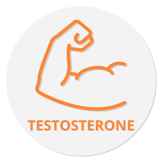 Testosterone